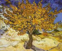 Center Frame Picture